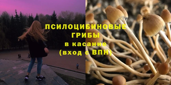 шишки Баксан