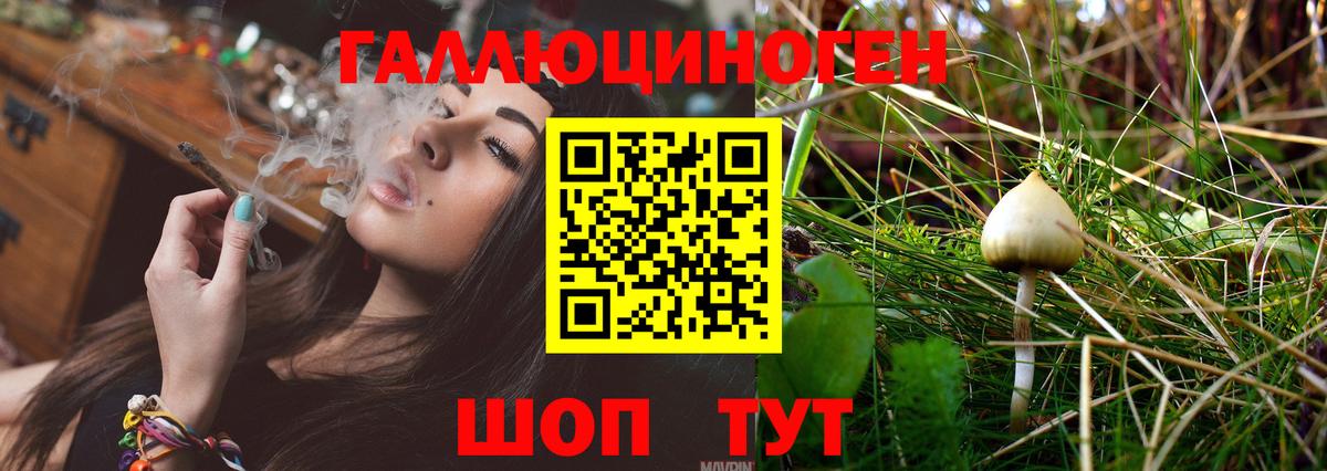 Галлюциногенные грибы Magic Shrooms Калуга